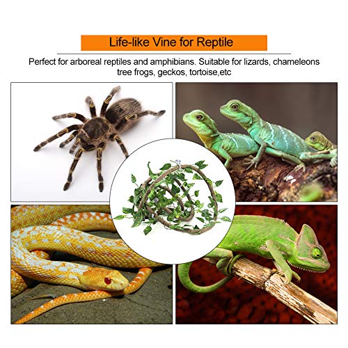 Reptile Climbing Branch | Flexible Jungle Vines 9.84ft | Bendable Rattan with Suction Cups | 3 Vines for Lizards/Chameleons/Tree Amphibians | Safe PU Material