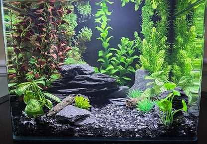 Natural Slate Stones 8 to 10 Inches - USA Sourced and Packaged for Aquascaping Aquariums, Terrariums, Paludariums, Reptile Enclosures, and Gardens (8-9 lbs)