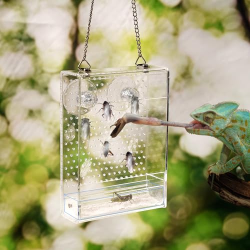 Bearded Dragon Feeder, Reptile Hunting Bowl with Calcium Powder Slot， Acrylic Chameleon Feeding Box, Wall-Mounted Insect Feeder for Lizard, Iguana, Gecko, Frog (Small) - color: Small Feeder Box