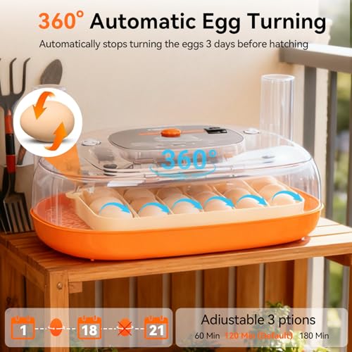 Incubators for Hatching Eggs, 24 Egg Incubator, Automatic Egg Turner with Humidity Control & Digital Temperature, Hatch Day, Auto Water Refill, 360°Viewing for Chicken, Duck, Quail, Duck, Goose