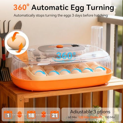 Incubators for Hatching Eggs, 24 Egg Incubator, Automatic Egg Turner with Humidity Control & Digital Temperature, Hatch Day, Auto Water Refill, 360°Viewing for Chicken, Duck, Quail, Duck, Goose