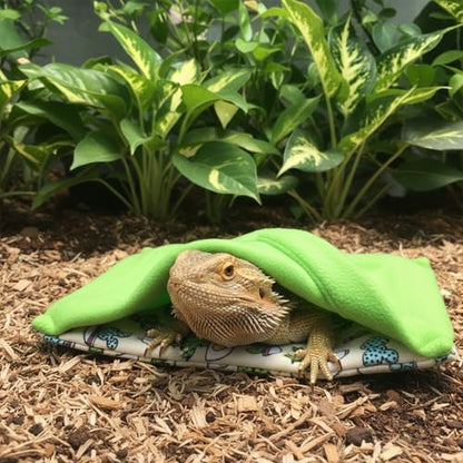 3 Pack Bearded Dragon Bed, Reptile Sleeping Bag, Reptile Pets' Sleeping Bag Set with Pillow Lizard Sleeping Bag Blanket Soft Warm Hideout Terrariums Accessories for Reptile Lizard Bearded Dragon