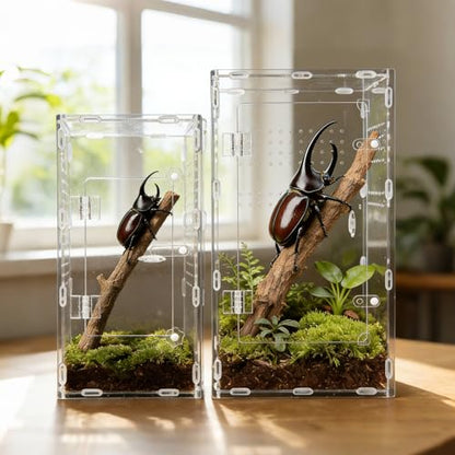 Acrylic Jumping Spider Enclosure, Reptile Terrarium Enclosure with Front Opening Door, 5.91×5.91×11.88 Inch Reptiles Habitat Tank Breeding Box for Tarantula Insect Snake Lizard - color: 5.91×5.91×11.8