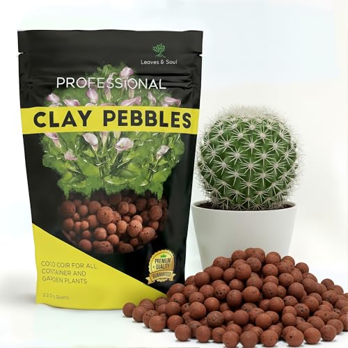 Professional Clay Pebbles for Plants 2.2 Quarts, Expanded Clay Pebbles for Hydroponics, Seedlings, Root Cuttings and Indoor Outdoor Plants, Lightweight Soil Additive, Made in USA - style: Clay Pebbles Soil Additive (2.2 Quarts)