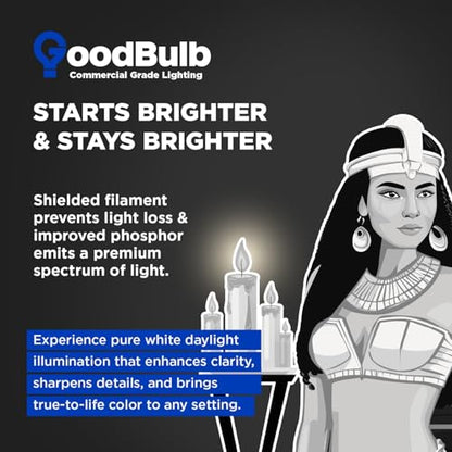 GoodBulb 32-Watt 48 Inch T8 Fluorescent Light Bulb 5000K Daylight White Light Color Medium Bi-Pin Base 3050 Lumens 86 CRI 24000 Life Hours Instant/Programmed Start (Pack of 25 Bulbs) - color: 5000k