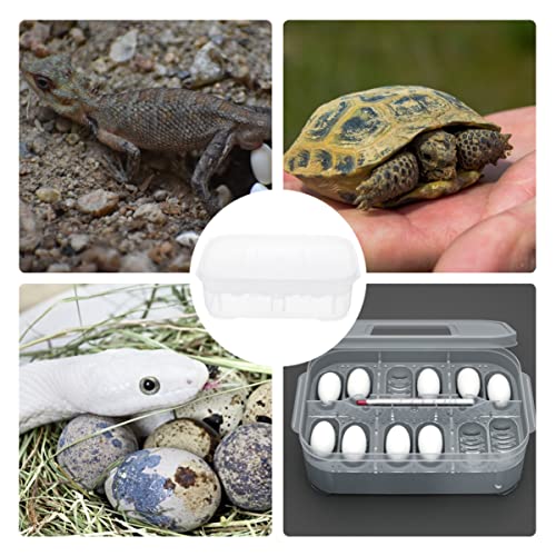 3pcs Box Container Hatching Reptile Lizards Lizard Breeding Snake for Tray Gecko Hatchery Feeding Hatcher Transparent Reptiles Eggs -Layer Grids Incubation Drawer Incubator