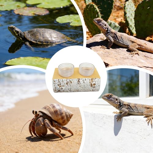 Magnetic Gecko Feeding Ledge | Removable Resin Food Dish,Terrarium Bowls Reptile Feeders - for Pets Crabs Turtle Spider Bearded Dragon Frogs Centipede Small Animal