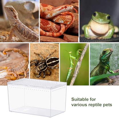 Reptile PC Terrarium 10.2" x 5.9" x 5.7" Full View Reptile Aquarium Tank Starter Kit for Insect Plant Gecko Spider Habitat Amphibians Enclosure with Hide Cave Feeding Bowl - size: M-Starter Kit