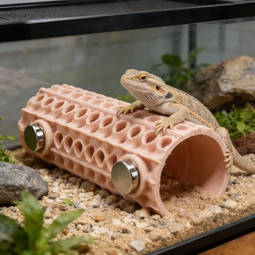 Jumping Spider Habitat - Magnetic Pet Hiding Shelter with Clear Climbing Walls, Secure Ventilated Design for Geckos, Frogs & Amphibians | Terrarium & Vivarium Decoration