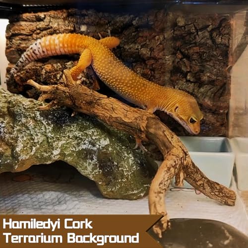 Hamiledyi Cork Terrarium Background 11.8x7.9in 6PCS Natural Reptile Cork Bark Flats Terrarium Board Bearded Dragon Climbing Wall Mat Tank Decor for Lizard Chamelon Snake Turtle Spider Crested Gecko - size: 6PCS-11.8x7.9in