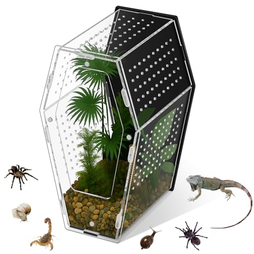 Yalikop Acrylic Jumping Spider Habitat Versatile Reptile Enclosure Transparent Insect Terrarium Habitat for Spiders, Tarantula, Gecko, Chameleon, Beetle, Mantis, and Hermit Crab(Black and Clear,L)