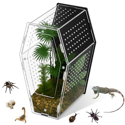 Yalikop Acrylic Jumping Spider Habitat Versatile Reptile Enclosure Transparent Insect Terrarium Habitat for Spiders, Tarantula, Gecko, Chameleon, Beetle, Mantis, and Hermit Crab(Black and Clear,L)