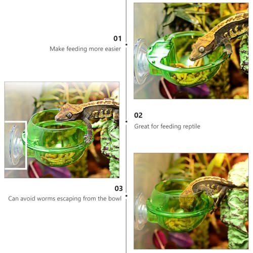 HEMOTON 4pcs Reptile Feeding Bowl Set with Suction Cup, Terrarium Food and Water Dish for Tree Climbing Lizards, Chameleons, and Geckos