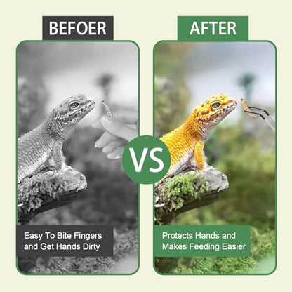 3Pcs Reptile Feeding Tool Set, 2 Tipped Tongs and 1 Feeding Spoon, Stainless Steel Crested Gecko Feeding Spoon for Geckos, Lizards, Bearded Dragons, Small Animals (Silver) - color: Feeding Set Silver