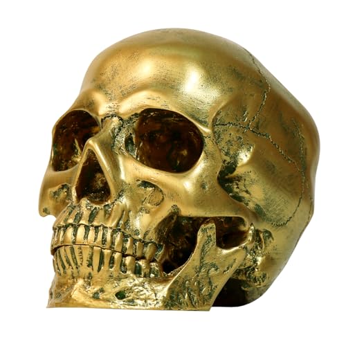 Resin Gold Skull Model - Life Size High Fidelity Sculpture for Halloween Decor Statues, Home Decoration & Artistic Display - color: Gold