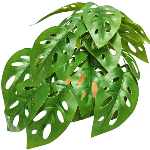 Woyrise Reptile Artificial Plants with Base, Terrarium Decor Amphibian Habitat Plant, Bearded Dragon Tank Accessories fit Gecko Lizard Chameleon Snake Frog - Monstera Adansonni - color: Monstera Adansonni