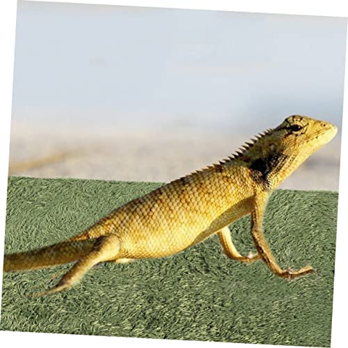 LIOOBO Reptile Moss Carpet for Terrarium Absorbent Faux Lawn Mat for Amphibians and Reptiles Comfortable Resting Place Green for Crawling Pets and Tortoise Habitats