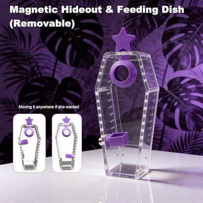 Jumping Spider Enclosure Jumping Spider Enclosure Kit Desktop Habitat Small Reptile Glass Terrarium Insect Accessory Set with Water Container Hiding Area(Black) - color: Black