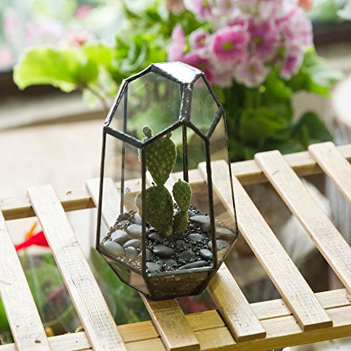 NCYP Small No Door Geometric Terrarium - 4.1" x 3.5" x 5.9" Miniature Irregular Glass Terrarium Planter for Mini Succulent Air Plants - Tabletop Garden Container, Black (No Plants) - size: 4.1"x3.5"x5.9"