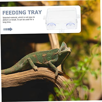 BESPORTBLE 2PCS Reptile Feeding Bowls Suction Cups Washable Lizard Food and Water Dishes Escape-Proof Reptile Feeders for Bearded Dragons Geckos Tortoises