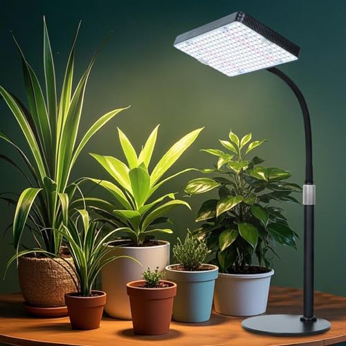 FECiDA Smart Control Desk Grow Light, Tabletop Grow Lights for Indoor Plants, Seed Starting, Bonsai, 4/8/12/16/20H Timer, 25 Watt Power Draw, Bright Enough Like A Small Sun, 16"-24" Height Adjustable - size: TableTop-1Head-25W-Timer-Dimming