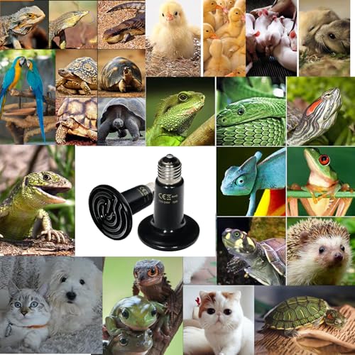 2 Pack Heat Emitter Reptiles 100W Heat Lamp Bulb Ceramic Reptile Heat Bulb Black No Light Emitting Heat Lamp (100, Watts)