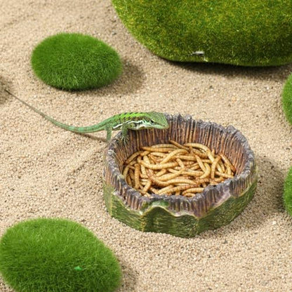 Small Reptile Food Dish, 2 PCS Reptile Water Dish Food Bowl Reptiles Feeding Foods Resin Terrarium Bowl for Bearded Dragon Gecko Frog Snake Chameleon Tortoise