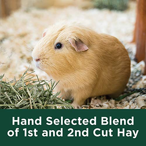 Kaytee All Natural Timothy Hay Plus Marigolds for Guinea Pigs, Rabbits & Other Small Animals, 24 Ounce - size: 1.5 Pound (Pack of 1)