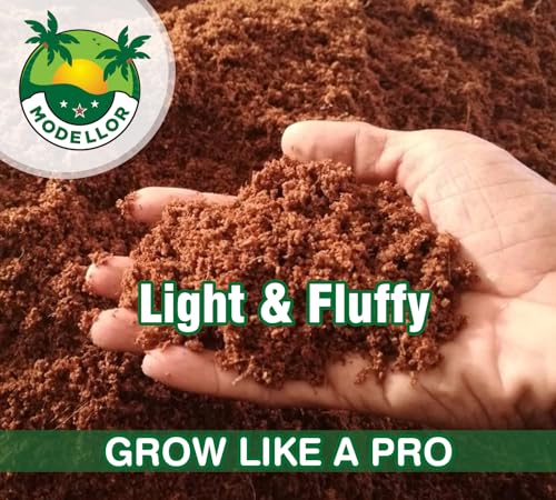 MODELLOR Coco Coir Bricks, 4-Pack (5 lb) – Premium Super Washed, Yields 9 Gallons (36 Quarts), Organic, pH-Balanced Growing Medium for Seed Starting & Gardening