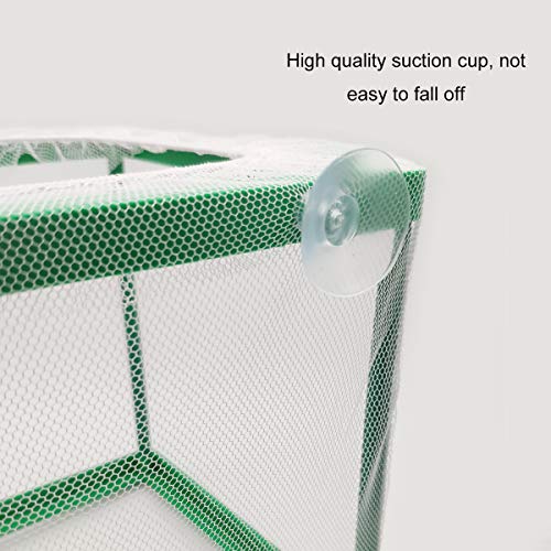 Aquarium Fish Breeder Box - Hatching & Spawning Incubator, Water Isolation Net Hatchery