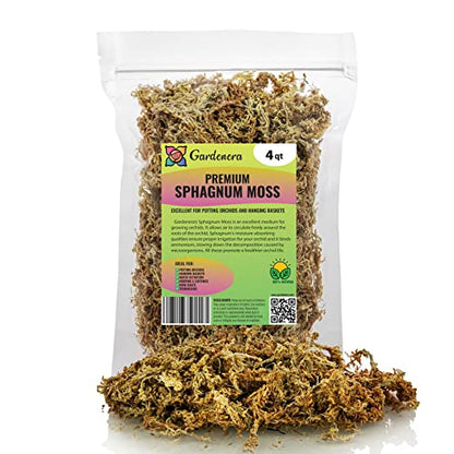 GARDENERA Premium Sphagnum Moss - Organic Hand Mixed New Zealand Long Fibered Sphagnum Moss Orchid - 4 Quart Bag - size: 4 QUART