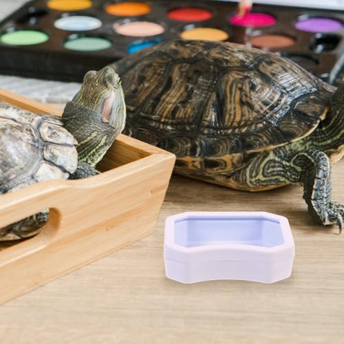 10pcs Reptile Water and Food Bowls Set, Small Lizard Feeding Dish for Geckos, Turtles, and Amphibians, Sturdy Plastic, White and Black, Suitable for Terrariums and Vivariums