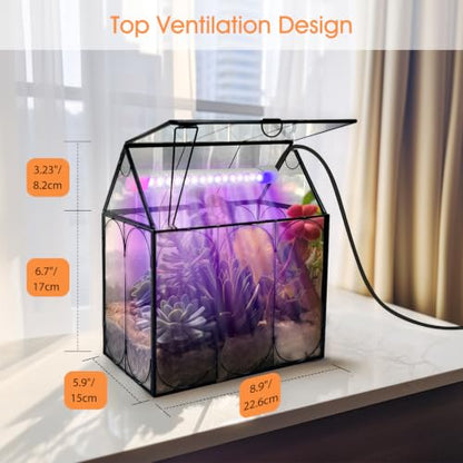 Plant Terrarium Kit with Grow Light, Rifny Large Glass Terrarium Jar with Absorbent Mat and Lid for Venus Fly Trap Succulent Live Air Plants Indoor Home Office Decor (Black, 8.9 x 5.9 x 9.9 inch) - size: Black-Large with Plant Light