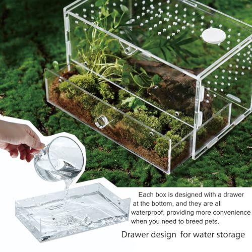 Acrylic Clear Reptile Habitat Enclosure Terrarium with Latch ，Perfect for Amphibians and Invertebrates Such as Spiders, Frogs, etc (Horizontal)