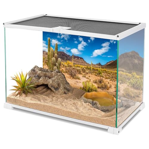 AWERT 24x12 inches Reptile Habitat Background Blue Sky Oasis Cactus Desert Terrarium Background Vinyl - size: 24x12in/60x30cm