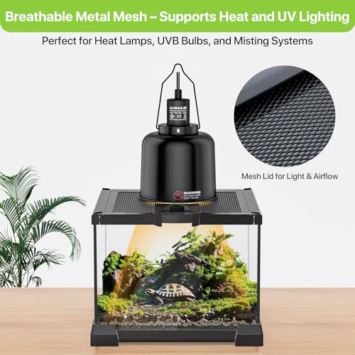 8.5" UVB 10.0 LED Light Bar + 8"x8"x6" Mini Glass Terrarium – UVA/UVB Lamp with Timer & Dimming, Ventilated Clear Habitat Enclosure for Jumping Spiders, Lizards, Turtles & Small Reptiles