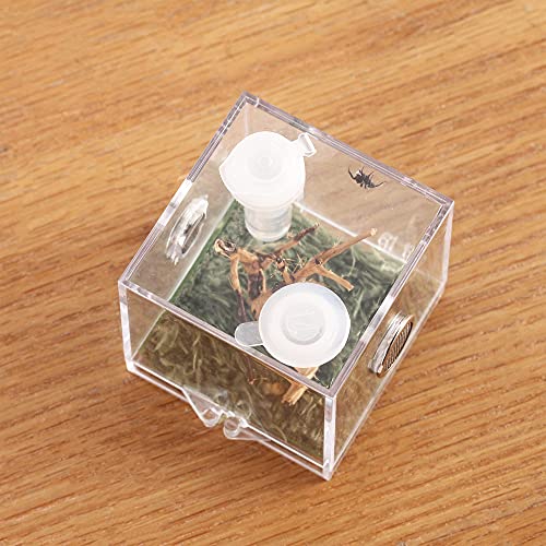 Jumping Spider Micro Big Habitat, Small Pet Insect Breeding Box, 360 Degree High Transparent Reptile Cage, Acrylic Case Mini Carrier for Amphibians, Feeding Container Enclosure Accessories - size: 2.6x2.6x2.7inches