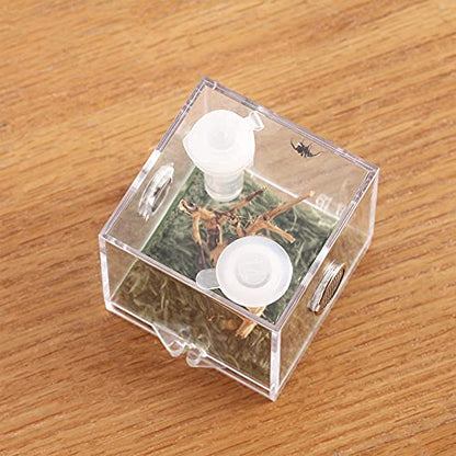 Jumping Spider Micro Big Habitat, Small Pet Insect Breeding Box, 360 Degree High Transparent Reptile Cage, Acrylic Case Mini Carrier for Amphibians, Feeding Container Enclosure Accessories - size: 2.6x2.6x2.7inches