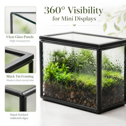 Mini Glass Terrarium Set of 2 with Lid, Tiny Rectangle Glass Succulent Terrarium Containers for Air Plants, Moss & Fairy Garden, Black Framed Tabletop Plant Holder, 4 x 2.8 x 2.4 & 2.8 x 2.4 x 4 in - color: Black