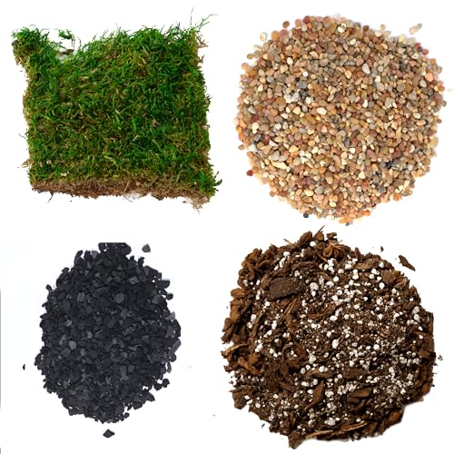 Succulent Planter Kit - Terrarium Kit with Succulent Soil, Gravel, Pebble, Moss,