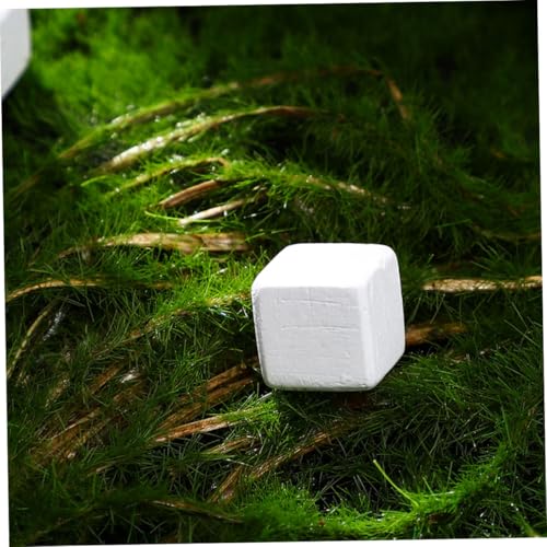 30pcs Natural Mineral Calcium Rocks for Reptiles and Amphibians Enhances Water Stability and Teeth Grinding Provides Essential Trace Elements for Turtle Tortoise Frog Lizard and