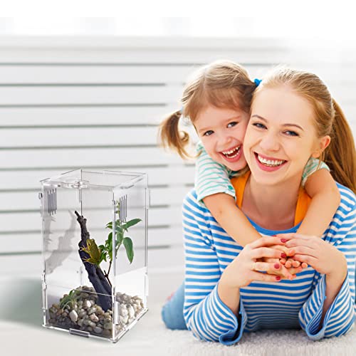 BETAZOOER Acrylic Mini Reptile Tank Habitat Transparent Terrariums with Locking Latch Suitable for Tarantula Isopod Roach Invertebrates (8''x6''x14'') - size: Large