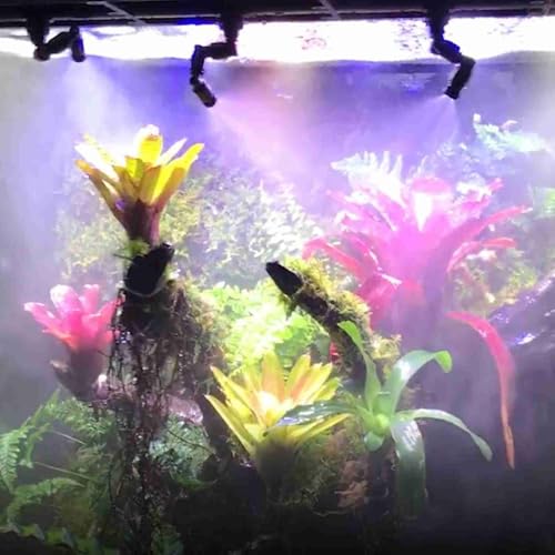 Reptiles Fogger Mist Sprinkler Rainforest Tank 360 Adjustable Aquarium System Connect 1/4 Tub Provides Rain Forest Spray Effect for Reptiles and Increases Humidity in The Feeder