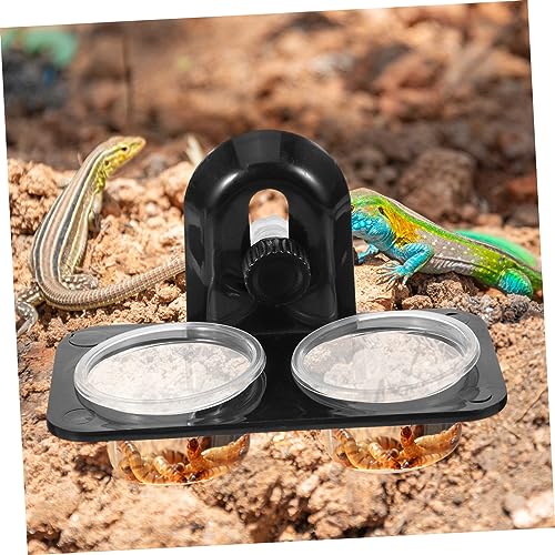 BESPORTBLE 3pcs Reptile Feeder Bowl Large Reptile Water Bowl Gecko Feeding Cups Pet