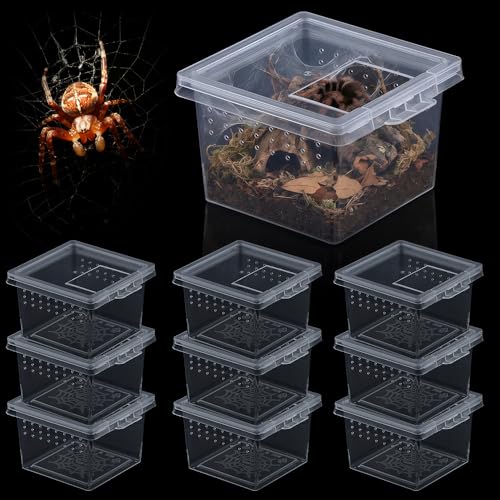 10 Pcs Insect Spider Terrariums Breeding Box Hatching Container Small Reptile Scorpion Centipede Acrylic Breeding Box (Small Size)