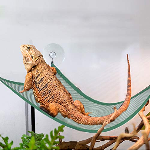 ADOGGYGO Bearded Dragon Lizard Hammock, Reptile Lounger Ladder, Bearded Dragon Hammock Accessories for Geckos Lizards Reptile (Green)
