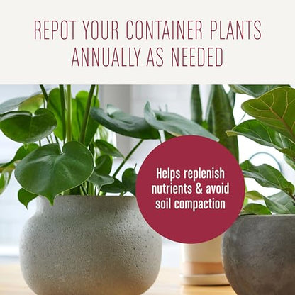 Miracle-Gro Houseplant Potting Mix - Fertilized Indoor Plant Soil for Containers, Designed to be Less Prone to Gnats, 4 qt. - size: 1 Pack, style: Houseplant