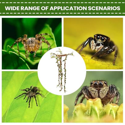 Jumping Spider Decor | Reptile Cage Toys Vines - Jumping Spider Enclosure Decor,for Snakes Ball Pythons Chameleons Mantis Gecko Tortoise Frog Bearded Dragon