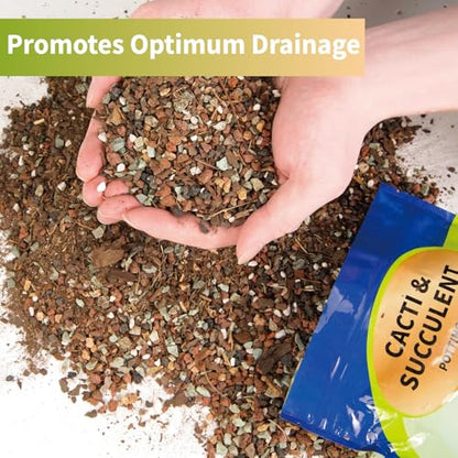 Doter Succulent & Cactus Soil Potting Mix 1qt, Chunky Dirt with Fast Draining Fits for Bonsai, Terrarium and Houseplant - color: Succulent & Cactus Soil, size: 1qt