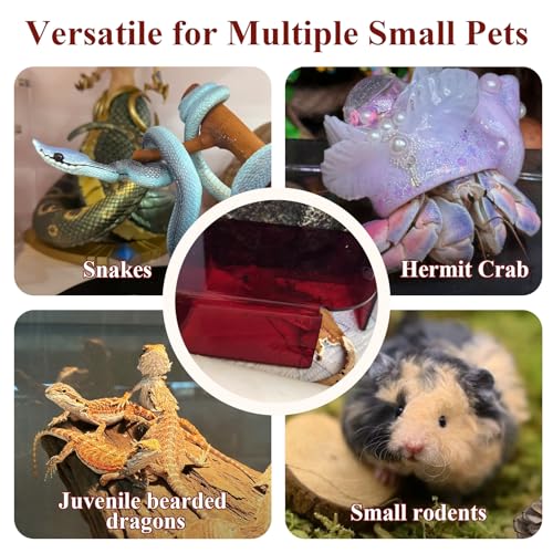 Visible Reptile Hide Box, PMMA Small Hideaway Snake Hide Enclosure, Easy to Clean Reptile Hides Cave for Leopard Geckos, Snakes, Lizards, Cornsnakes, Hamster - Large& Juvenilem (7.1 x 4.9 x 3.2in) - size: Large